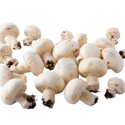 Шампиньоны свежие 500 г - купить в Старом Имяне